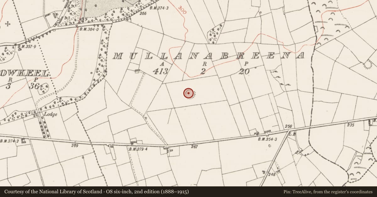 Ordnance Survey six-inch map, 2nd edition (1888–1915) covering the location of Ringfort - rath, Mullanabreena, County Sligo, with a pin at the register's coordinates