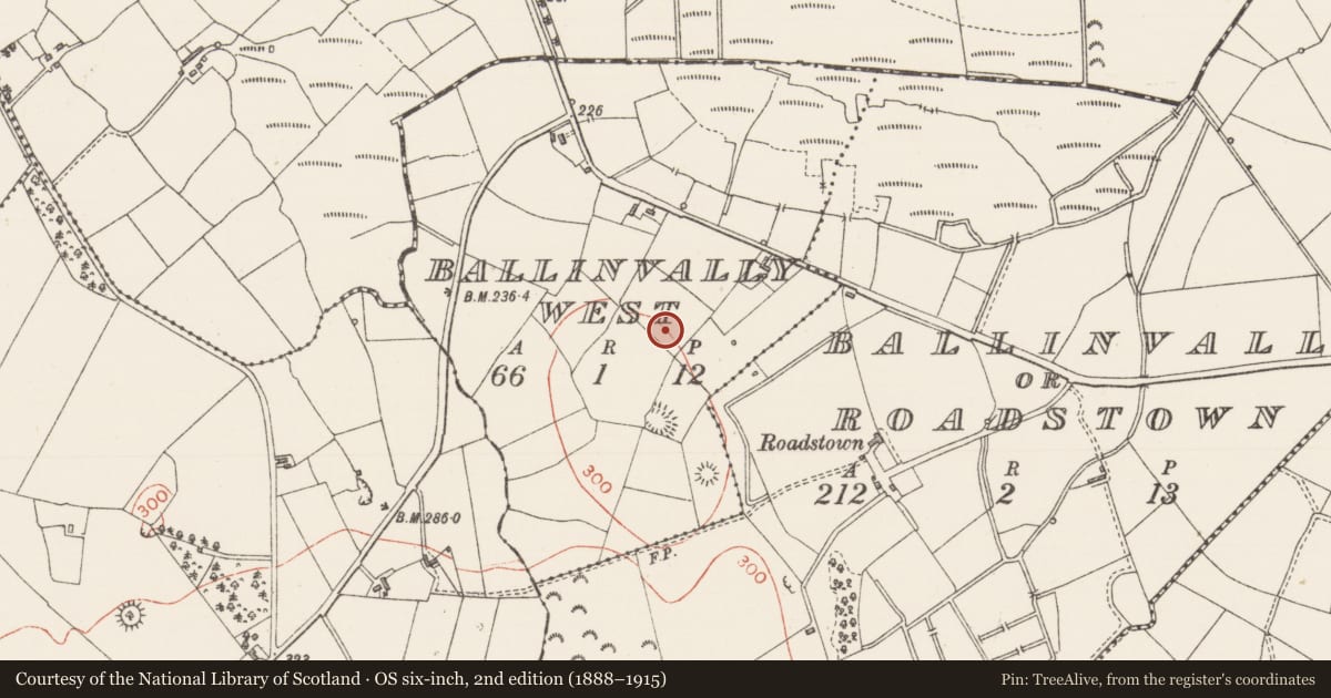 Ordnance Survey six-inch map, 2nd edition (1888–1915) covering the location of Ringfort - rath, Ballinvally West, County Sligo, with a pin at the register's coordinates