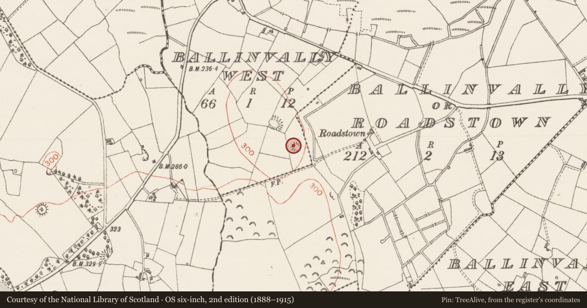 Ordnance Survey six-inch map, 2nd edition (1888–1915) covering the location of Barrow - bowl-barrow, Ballinvally West, County Sligo, with a pin at the register's coordinates
