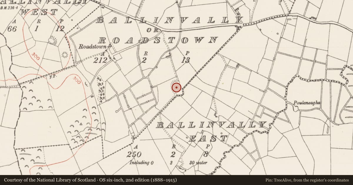 Ordnance Survey six-inch map, 2nd edition (1888–1915) covering the location of Enclosure, Ballinvally Or Roadstown, County Sligo, with a pin at the register's coordinates