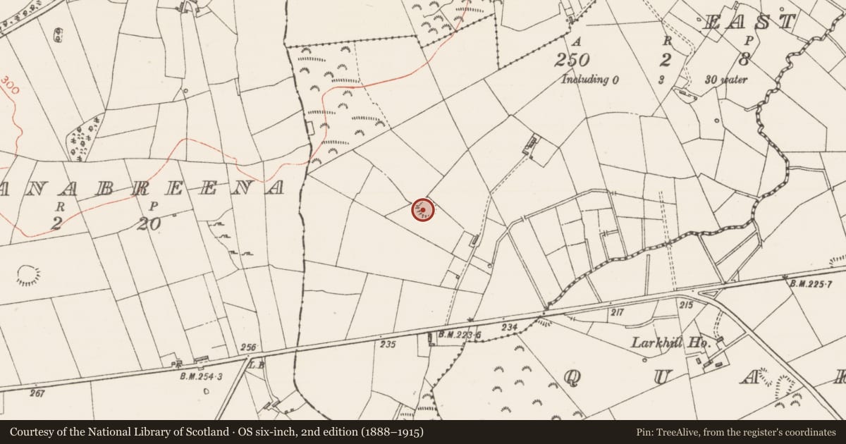 Ordnance Survey six-inch map, 2nd edition (1888–1915) covering the location of Ringfort - cashel, Ballinvally East, County Sligo, with a pin at the register's coordinates