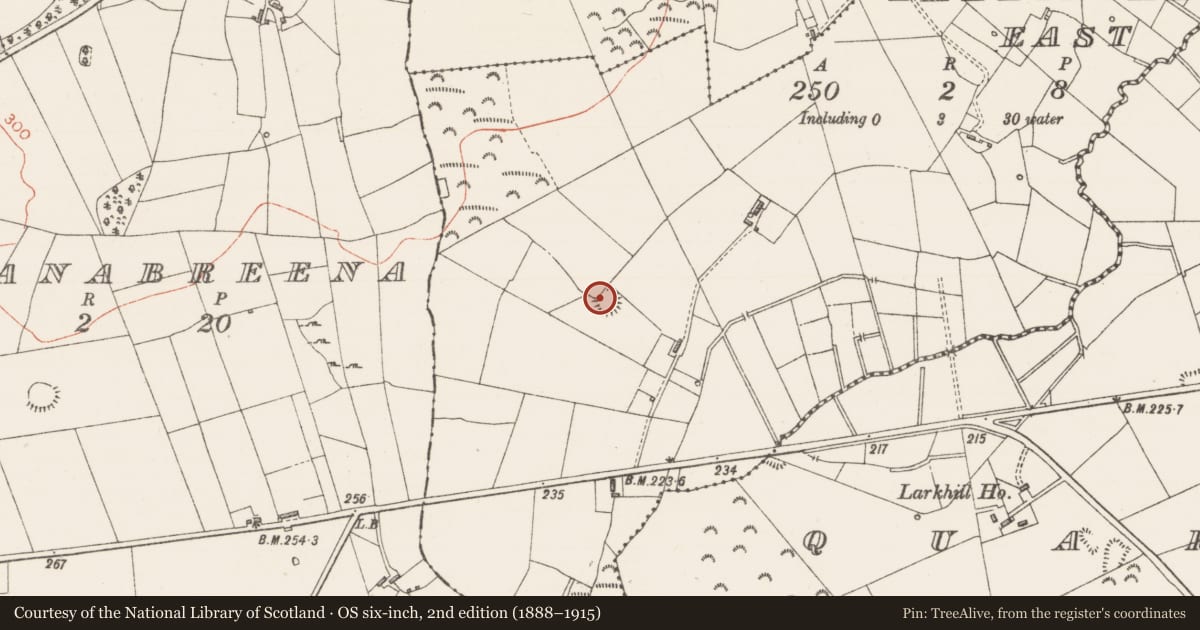 Ordnance Survey six-inch map, 2nd edition (1888–1915) covering the location of Souterrain, Ballinvally East, County Sligo, with a pin at the register's coordinates
