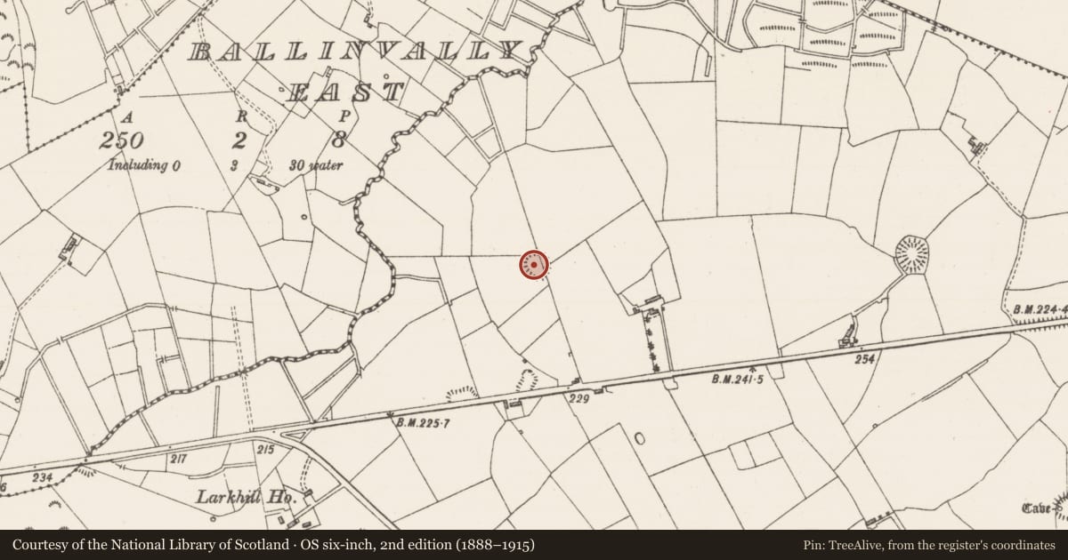 Ordnance Survey six-inch map, 2nd edition (1888–1915) covering the location of Ringfort - rath, Quarryfield, County Sligo, with a pin at the register's coordinates