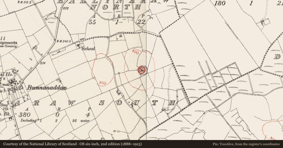 Ordnance Survey six-inch map, 2nd edition (1888–1915) covering the location of Ringfort - rath, Ballynaraw South, County Sligo, with a pin at the register's coordinates