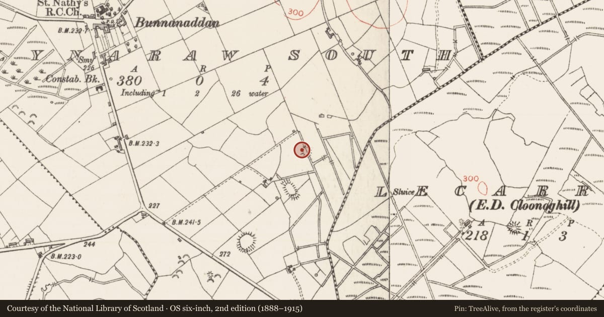 Ordnance Survey six-inch map, 2nd edition (1888–1915) covering the location of Ringfort - rath, Ballynaraw South, County Sligo, with a pin at the register's coordinates
