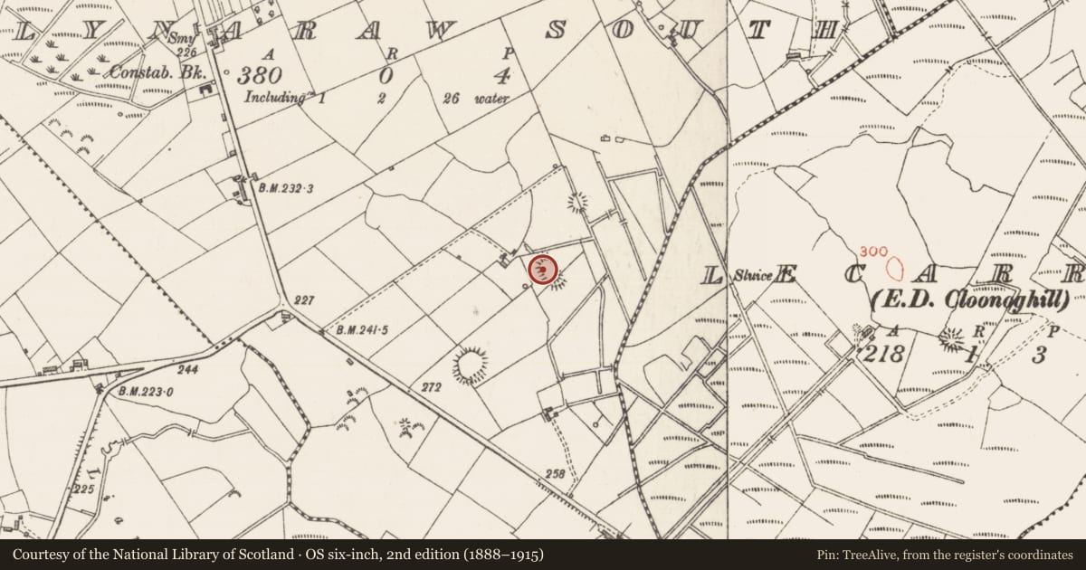 Ordnance Survey six-inch map, 2nd edition (1888–1915) covering the location of Ringfort - rath, Ballynaraw South, County Sligo, with a pin at the register's coordinates