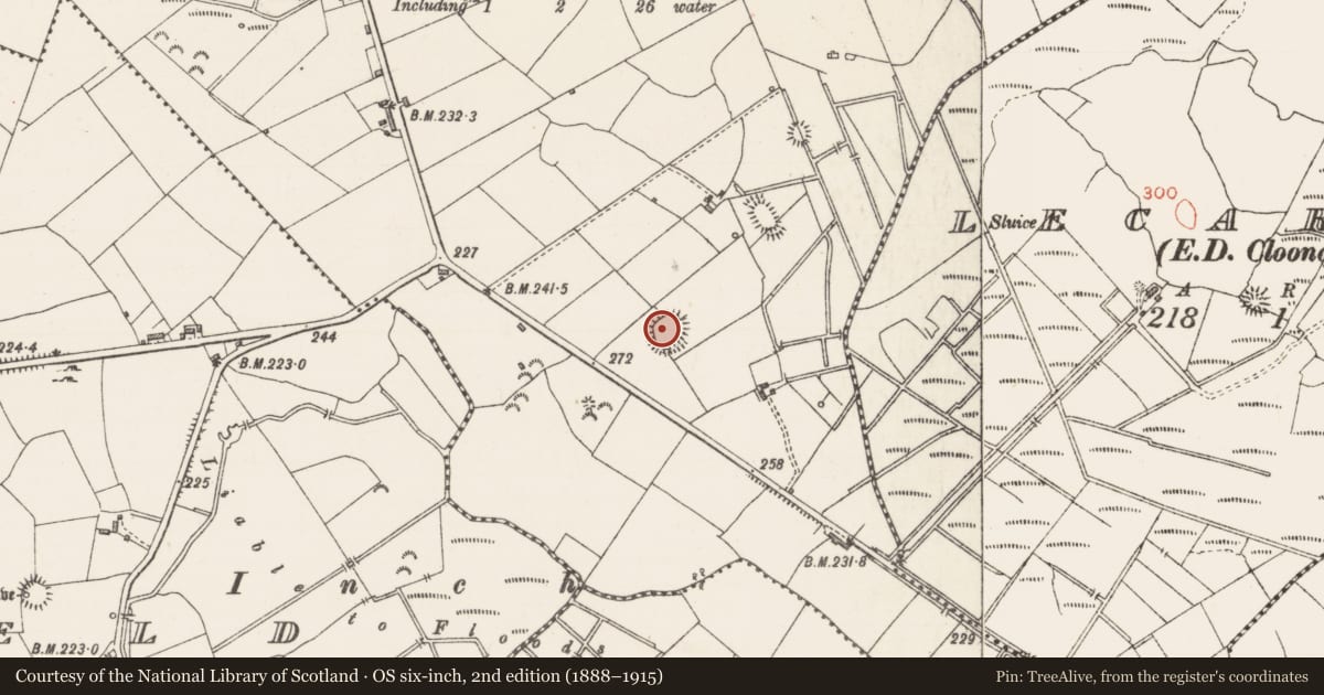 Ordnance Survey six-inch map, 2nd edition (1888–1915) covering the location of Ringfort - rath, Ballynaraw South, County Sligo, with a pin at the register's coordinates
