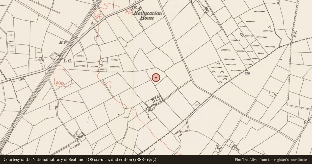 Ordnance Survey six-inch map, 2nd edition (1888–1915) covering the location of Ringfort - rath, Rathscanlan, County Sligo, with a pin at the register's coordinates