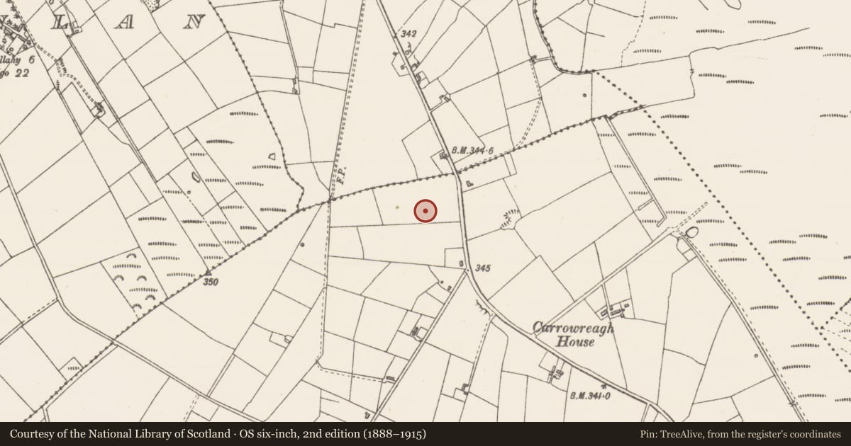 Ordnance Survey six-inch map, 2nd edition (1888–1915) covering the location of Kiln - lime, Carrowreagh (Knox), County Sligo, with a pin at the register's coordinates