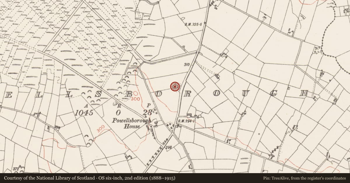 Ordnance Survey six-inch map, 2nd edition (1888–1915) covering the location of Ringfort - rath, Powellsborough, County Sligo, with a pin at the register's coordinates
