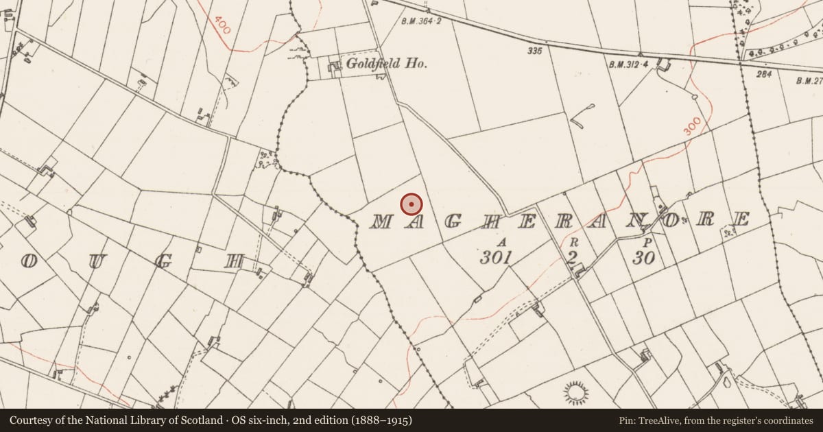 Ordnance Survey six-inch map, 2nd edition (1888–1915) covering the location of Field system, Magheranore, County Sligo, with a pin at the register's coordinates