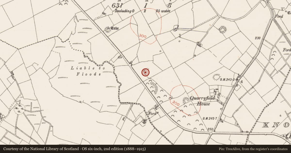 Ordnance Survey six-inch map, 2nd edition (1888–1915) covering the location of Ringfort - rath, Quarryfield, County Sligo, with a pin at the register's coordinates