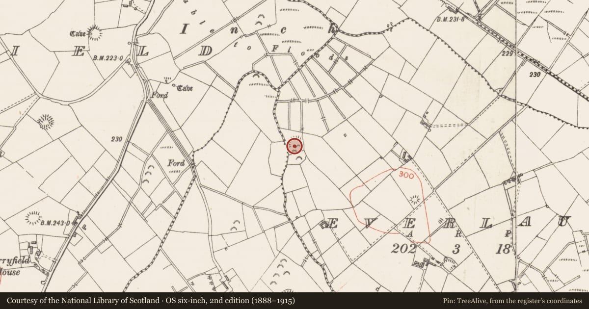 Ordnance Survey six-inch map, 2nd edition (1888–1915) covering the location of Ringfort - rath, Everlaun, County Sligo, with a pin at the register's coordinates