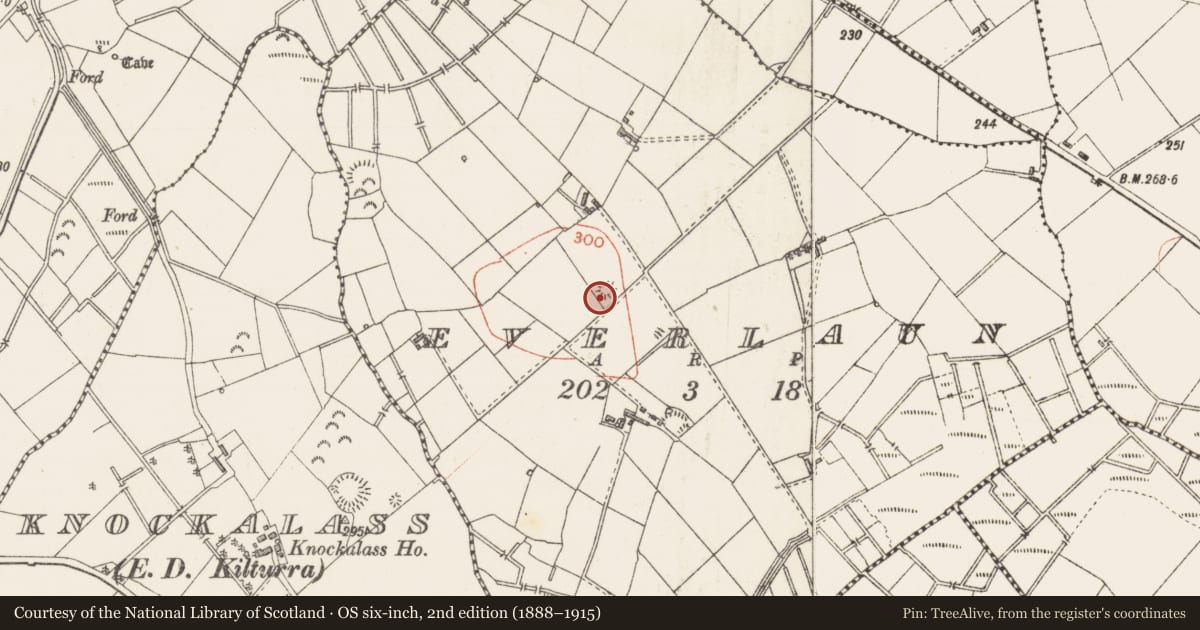 Ordnance Survey six-inch map, 2nd edition (1888–1915) covering the location of Barrow - unclassified, Everlaun, County Sligo, with a pin at the register's coordinates