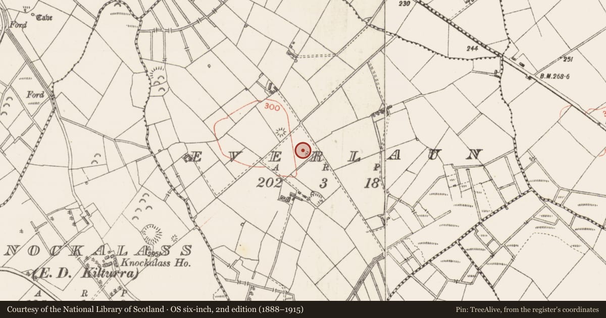 Ordnance Survey six-inch map, 2nd edition (1888–1915) covering the location of Enclosure, Everlaun, County Sligo, with a pin at the register's coordinates