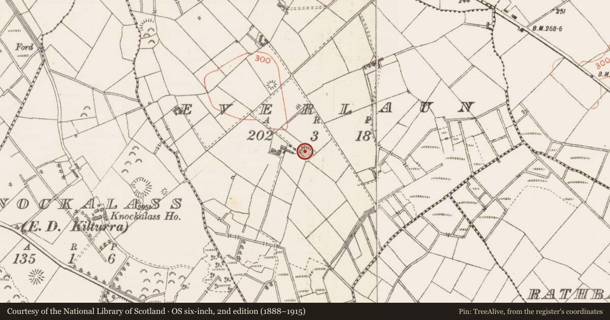 Ordnance Survey six-inch map, 2nd edition (1888–1915) covering the location of Ringfort - rath, Everlaun, County Sligo, with a pin at the register's coordinates