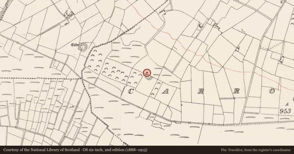 Ordnance Survey six-inch map, 2nd edition (1888–1915) covering the location of Ringfort - rath, Carrowreagh (Cooper), County Sligo, with a pin at the register's coordinates
