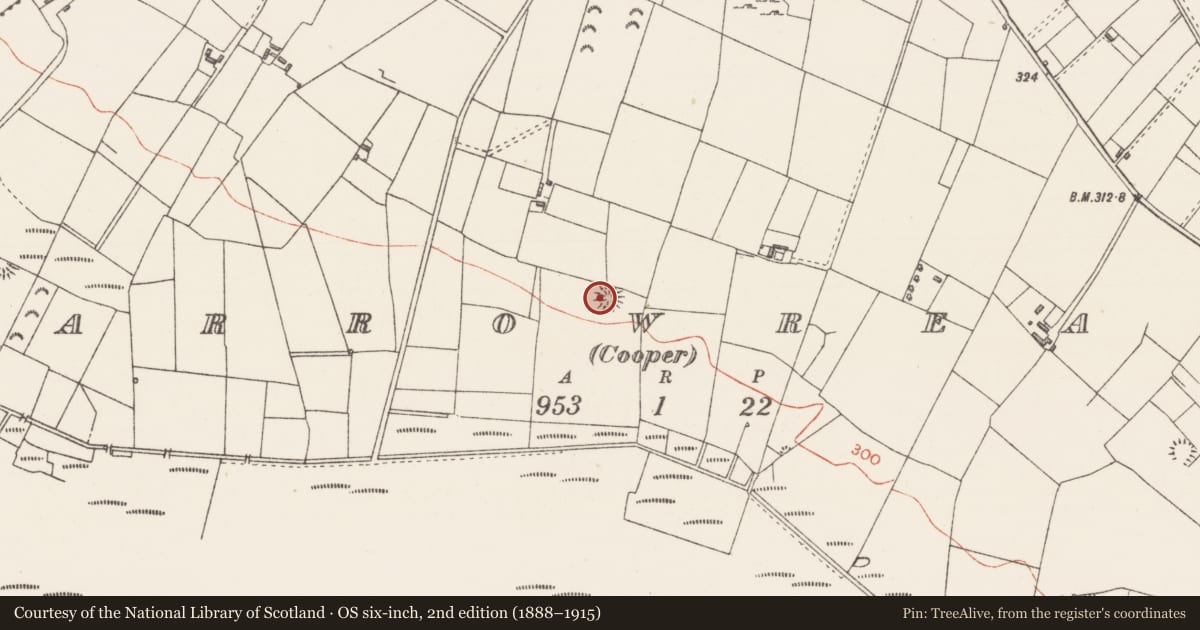 Ordnance Survey six-inch map, 2nd edition (1888–1915) covering the location of Ringfort - rath, Carrowreagh (Cooper), County Sligo, with a pin at the register's coordinates
