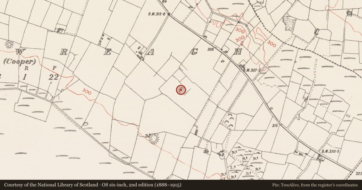 Ordnance Survey six-inch map, 2nd edition (1888–1915) covering the location of Ringfort - rath, Carrowreagh (Cooper), County Sligo, with a pin at the register's coordinates