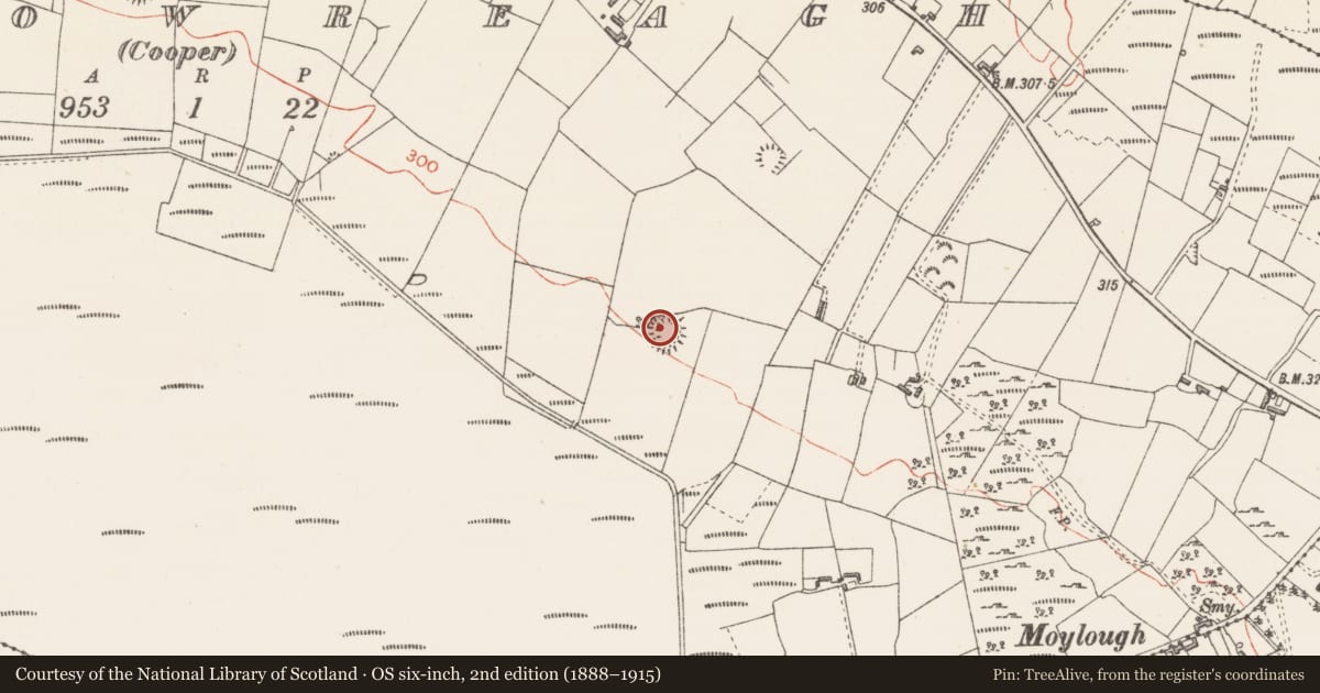 Ordnance Survey six-inch map, 2nd edition (1888–1915) covering the location of Ringfort - rath, Carrowreagh (Cooper), County Sligo, with a pin at the register's coordinates