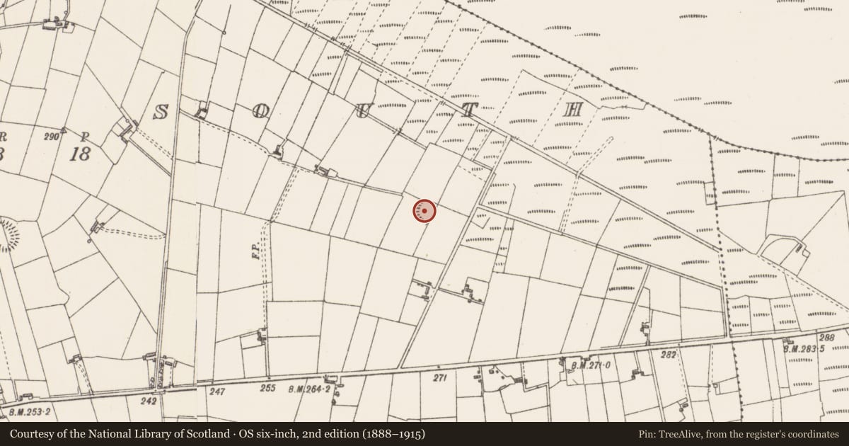 Ordnance Survey six-inch map, 2nd edition (1888–1915) covering the location of Ringfort - rath, Cashel South, County Sligo, with a pin at the register's coordinates