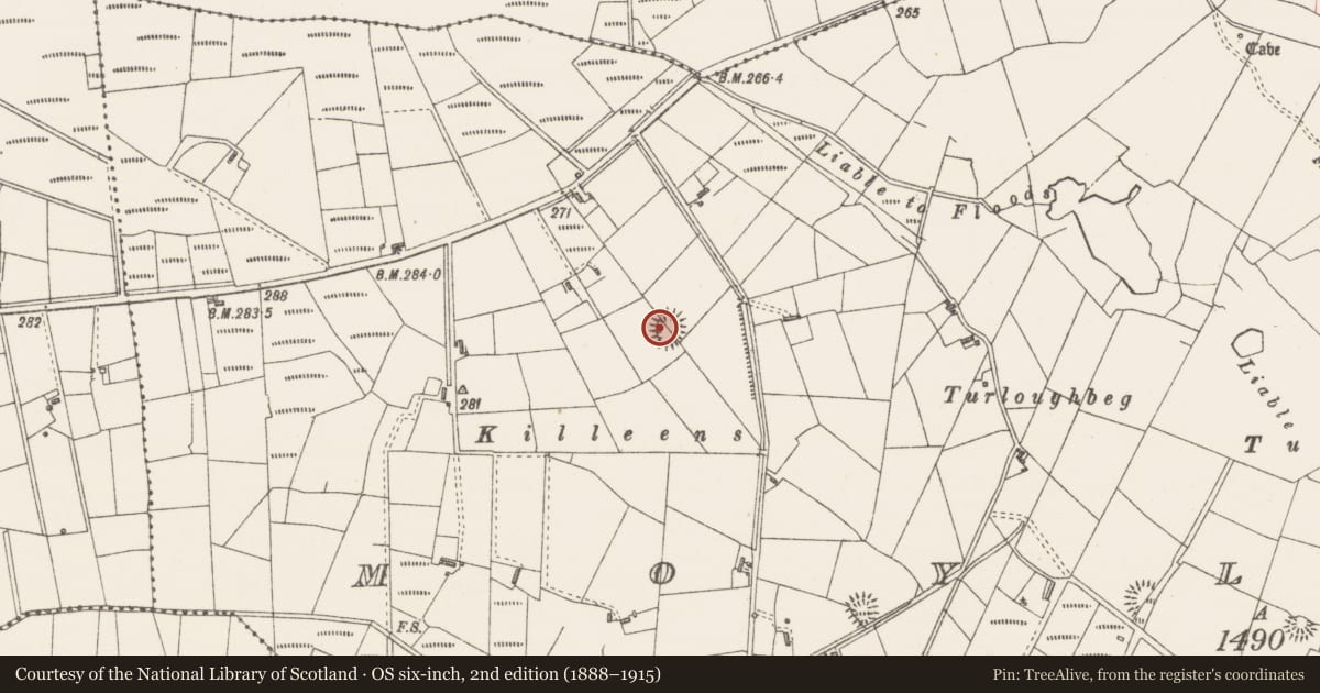 Ordnance Survey six-inch map, 2nd edition (1888–1915) covering the location of Ringfort - rath, Moylough, County Sligo, with a pin at the register's coordinates