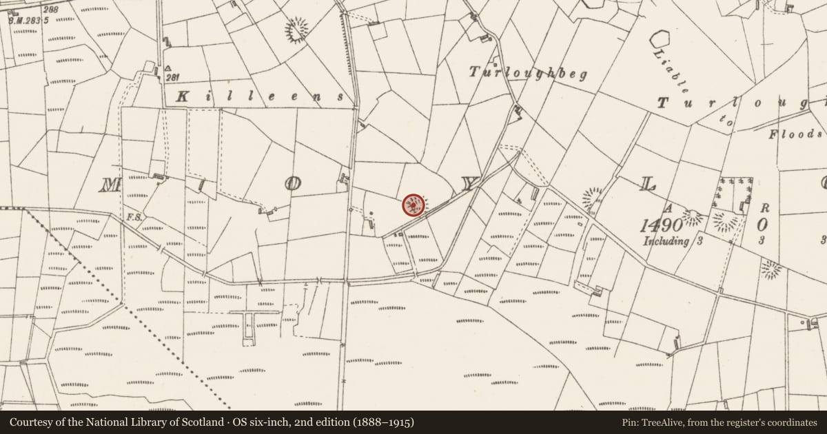 Ordnance Survey six-inch map, 2nd edition (1888–1915) covering the location of Ringfort - rath, Moylough, County Sligo, with a pin at the register's coordinates
