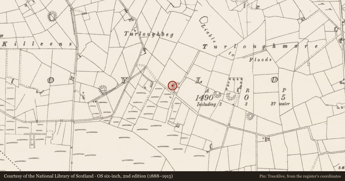 Ordnance Survey six-inch map, 2nd edition (1888–1915) covering the location of Ringfort - rath, Moylough, County Sligo, with a pin at the register's coordinates