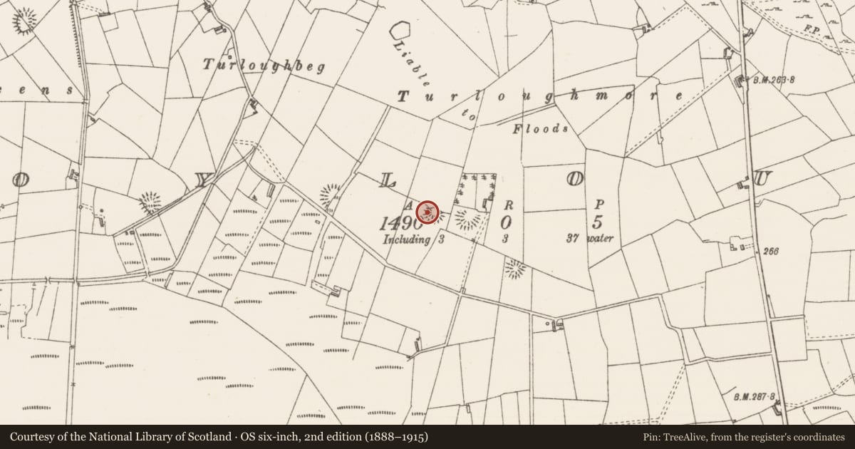 Ordnance Survey six-inch map, 2nd edition (1888–1915) covering the location of Ringfort - rath, Moylough, County Sligo, with a pin at the register's coordinates