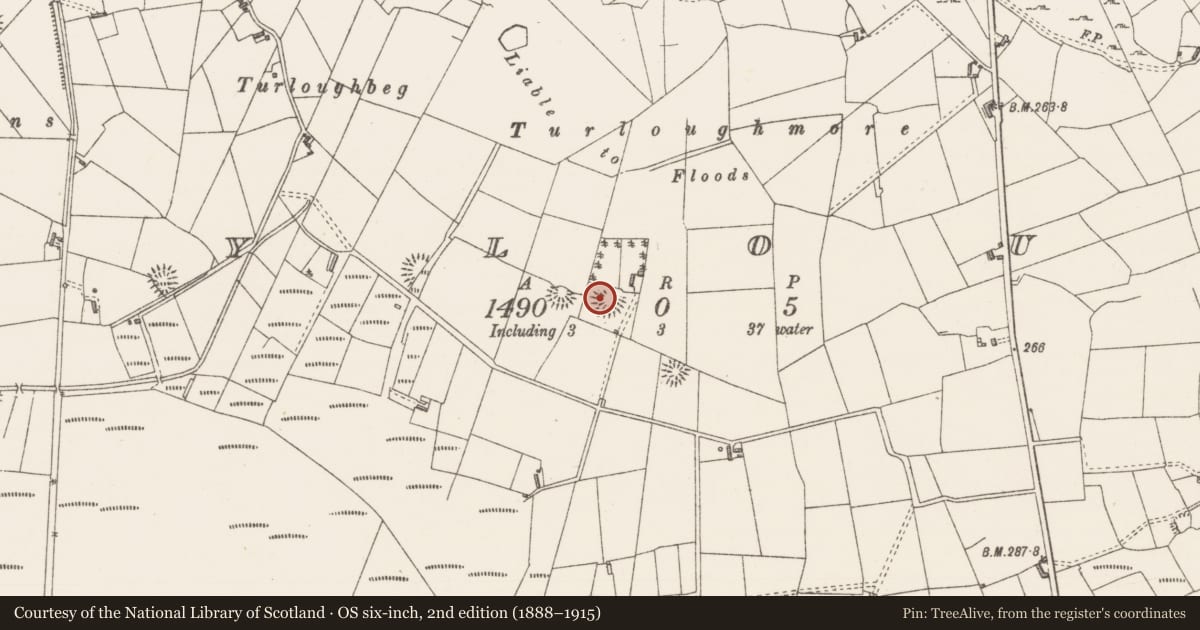 Ordnance Survey six-inch map, 2nd edition (1888–1915) covering the location of Ringfort - rath, Moylough, County Sligo, with a pin at the register's coordinates