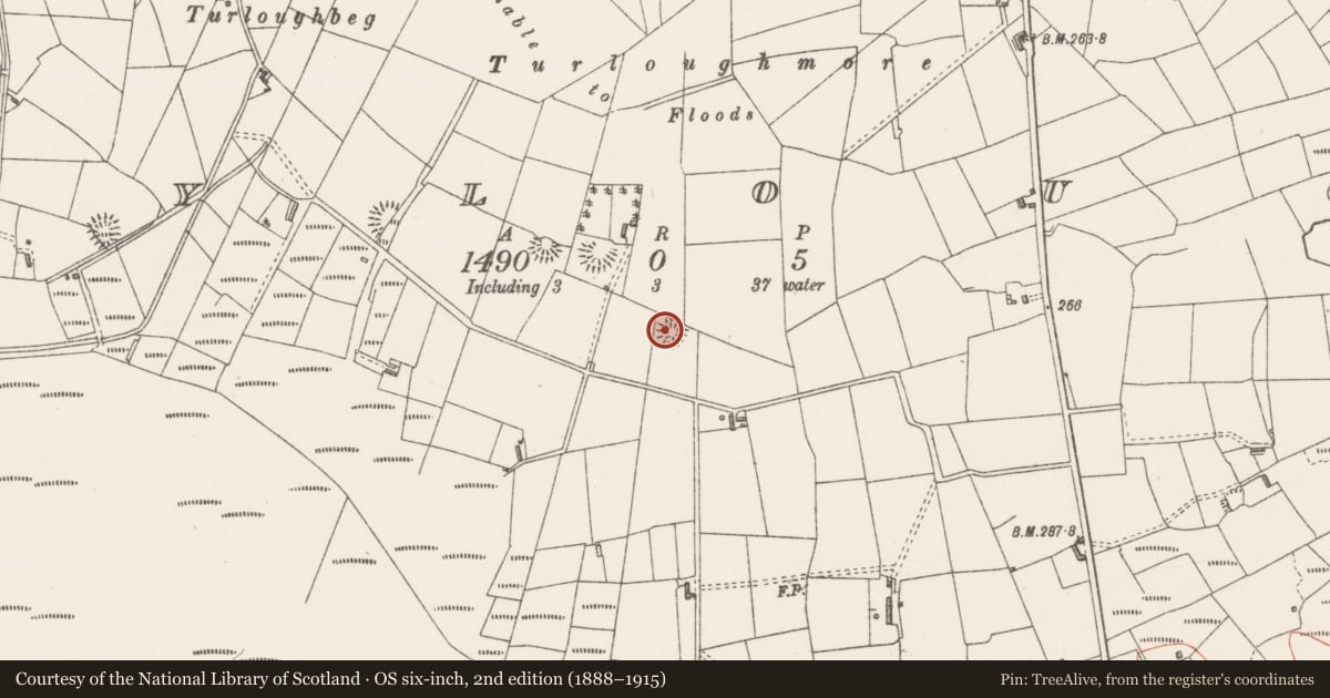 Ordnance Survey six-inch map, 2nd edition (1888–1915) covering the location of Ringfort - rath, Moylough, County Sligo, with a pin at the register's coordinates