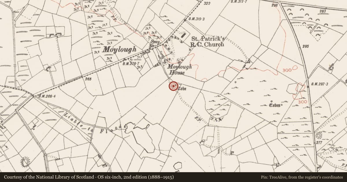 Ordnance Survey six-inch map, 2nd edition (1888–1915) covering the location of Souterrain, Moylough, County Sligo, with a pin at the register's coordinates