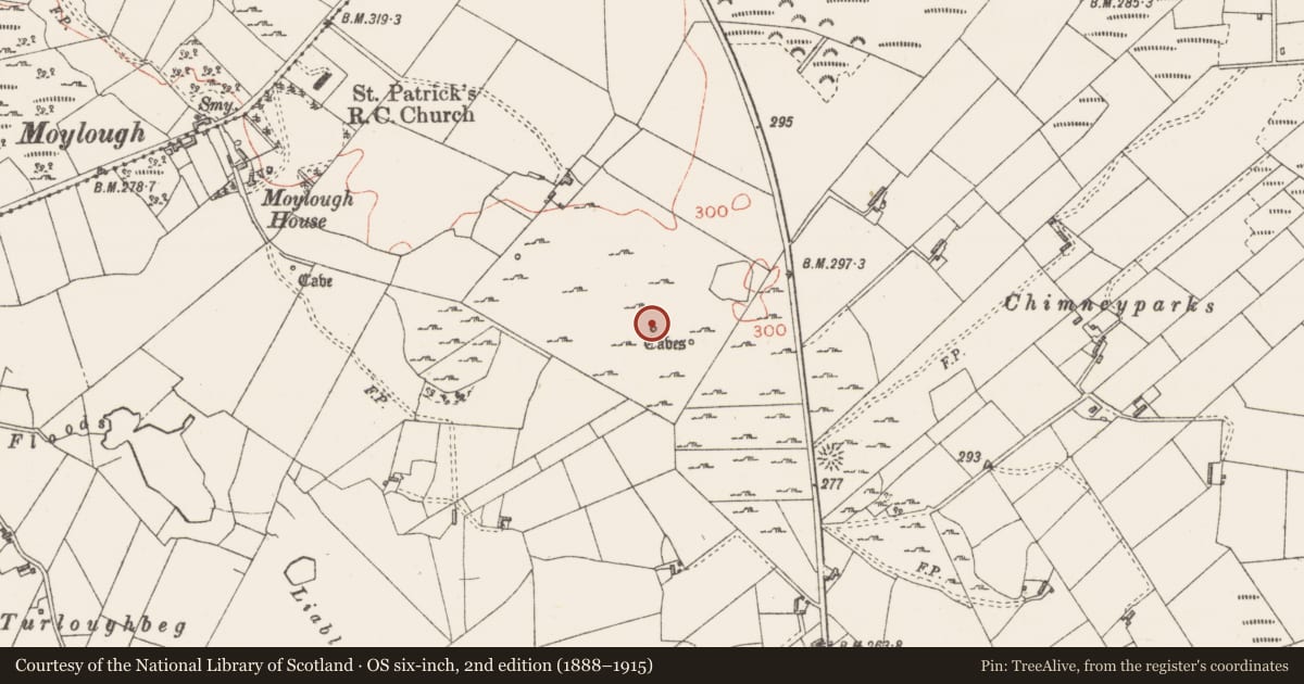 Ordnance Survey six-inch map, 2nd edition (1888–1915) covering the location of Souterrain, Moylough, County Sligo, with a pin at the register's coordinates