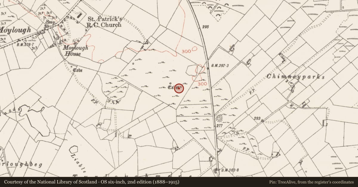 Ordnance Survey six-inch map, 2nd edition (1888–1915) covering the location of Souterrain, Moylough, County Sligo, with a pin at the register's coordinates