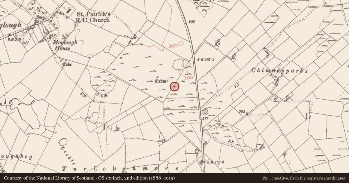 Ordnance Survey six-inch map, 2nd edition (1888–1915) covering the location of Field system, Moylough, County Sligo, with a pin at the register's coordinates