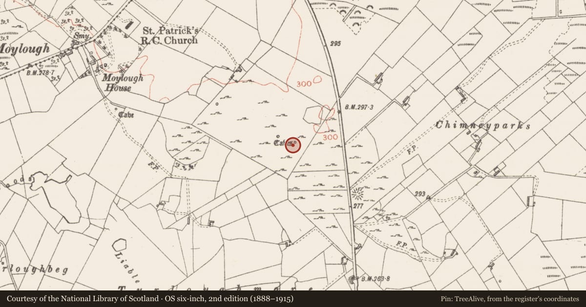 Ordnance Survey six-inch map, 2nd edition (1888–1915) covering the location of Hut site, Moylough, County Sligo, with a pin at the register's coordinates