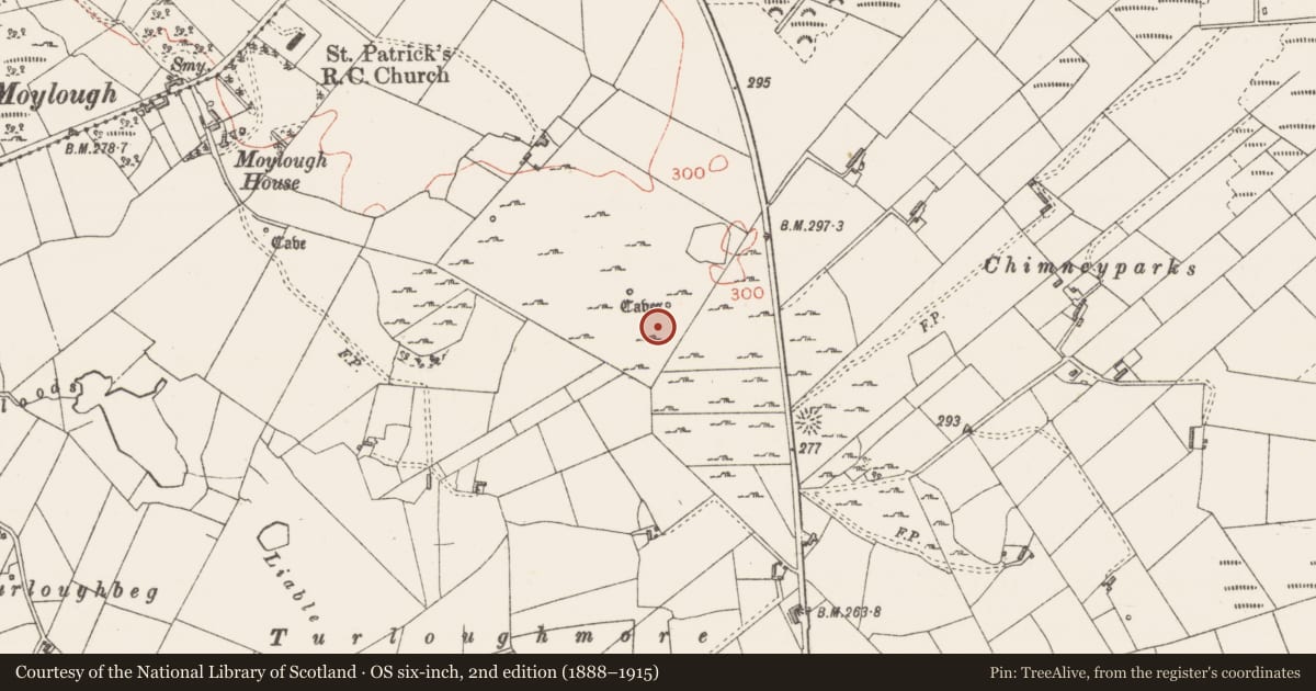 Ordnance Survey six-inch map, 2nd edition (1888–1915) covering the location of Hut site, Moylough, County Sligo, with a pin at the register's coordinates