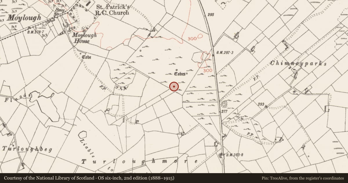 Ordnance Survey six-inch map, 2nd edition (1888–1915) covering the location of Enclosure, Moylough, County Sligo, with a pin at the register's coordinates