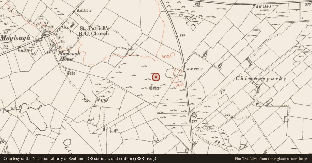 Ordnance Survey six-inch map, 2nd edition (1888–1915) covering the location of Ringfort - cashel, Moylough, County Sligo, with a pin at the register's coordinates