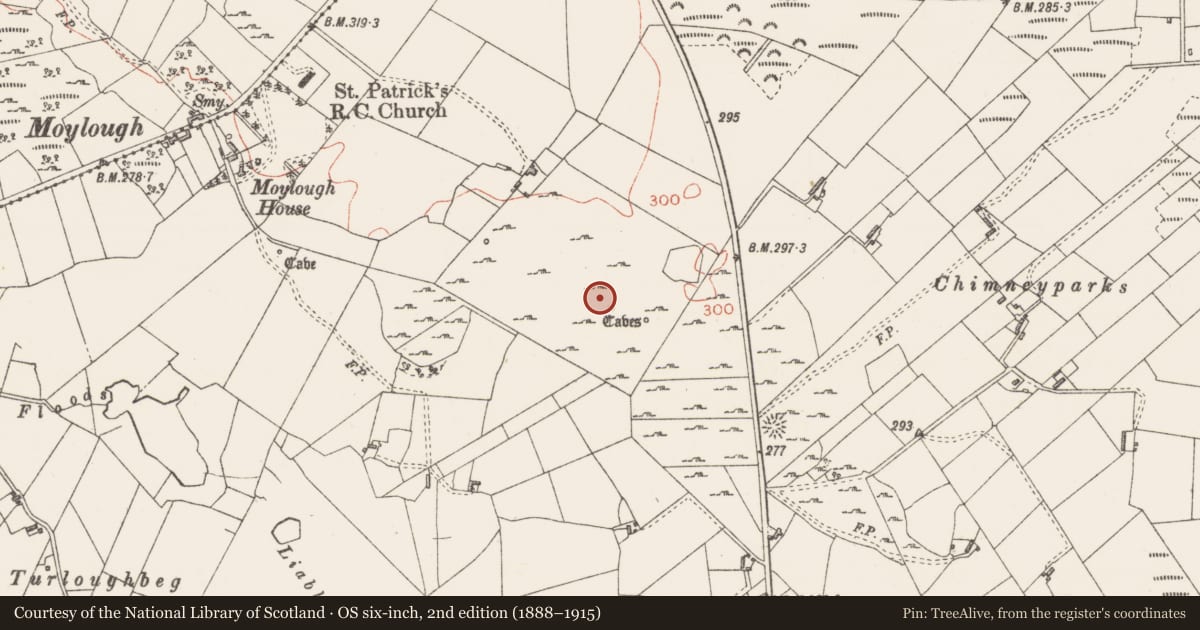 Ordnance Survey six-inch map, 2nd edition (1888–1915) covering the location of Hut site, Moylough, County Sligo, with a pin at the register's coordinates