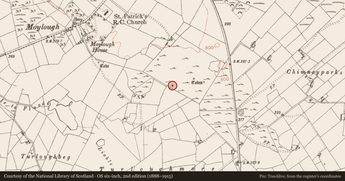 Ordnance Survey six-inch map, 2nd edition (1888–1915) covering the location of Enclosure, Moylough, County Sligo, with a pin at the register's coordinates