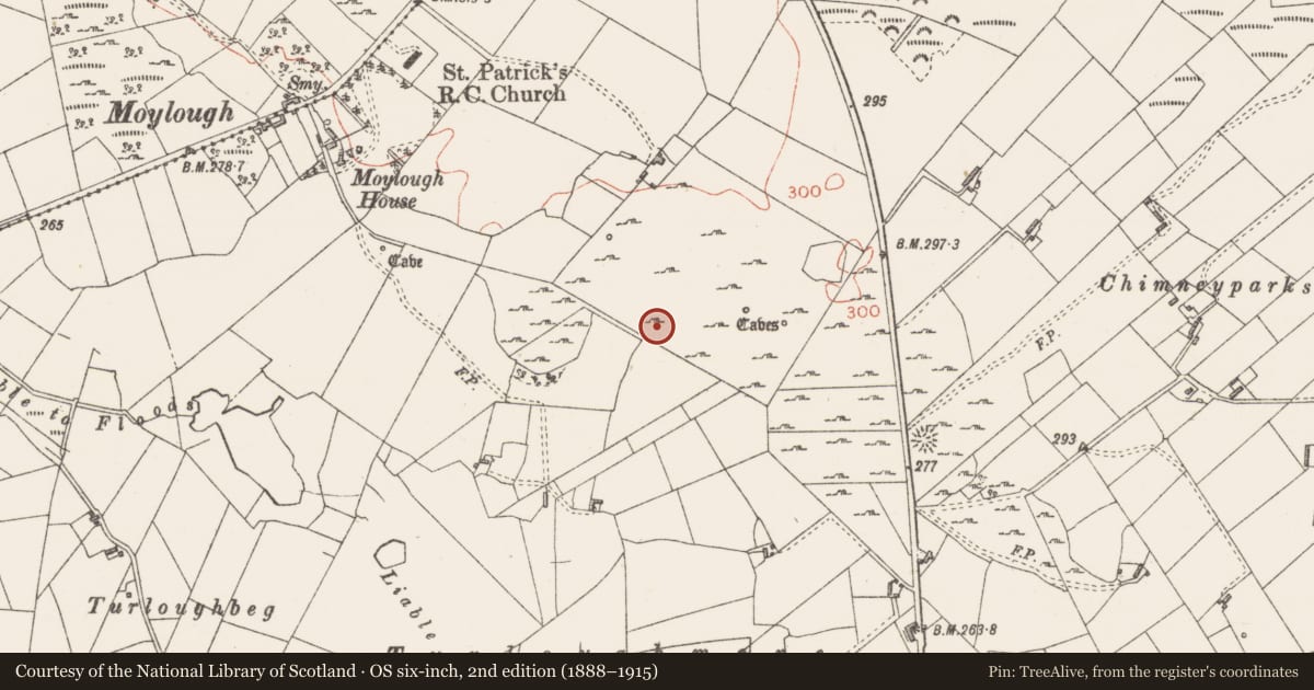 Ordnance Survey six-inch map, 2nd edition (1888–1915) covering the location of Hut site, Moylough, County Sligo, with a pin at the register's coordinates