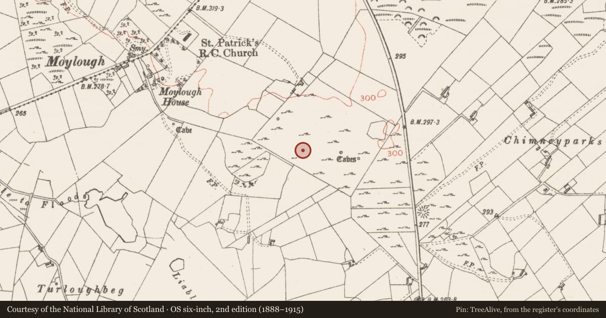 Ordnance Survey six-inch map, 2nd edition (1888–1915) covering the location of Enclosure, Moylough, County Sligo, with a pin at the register's coordinates