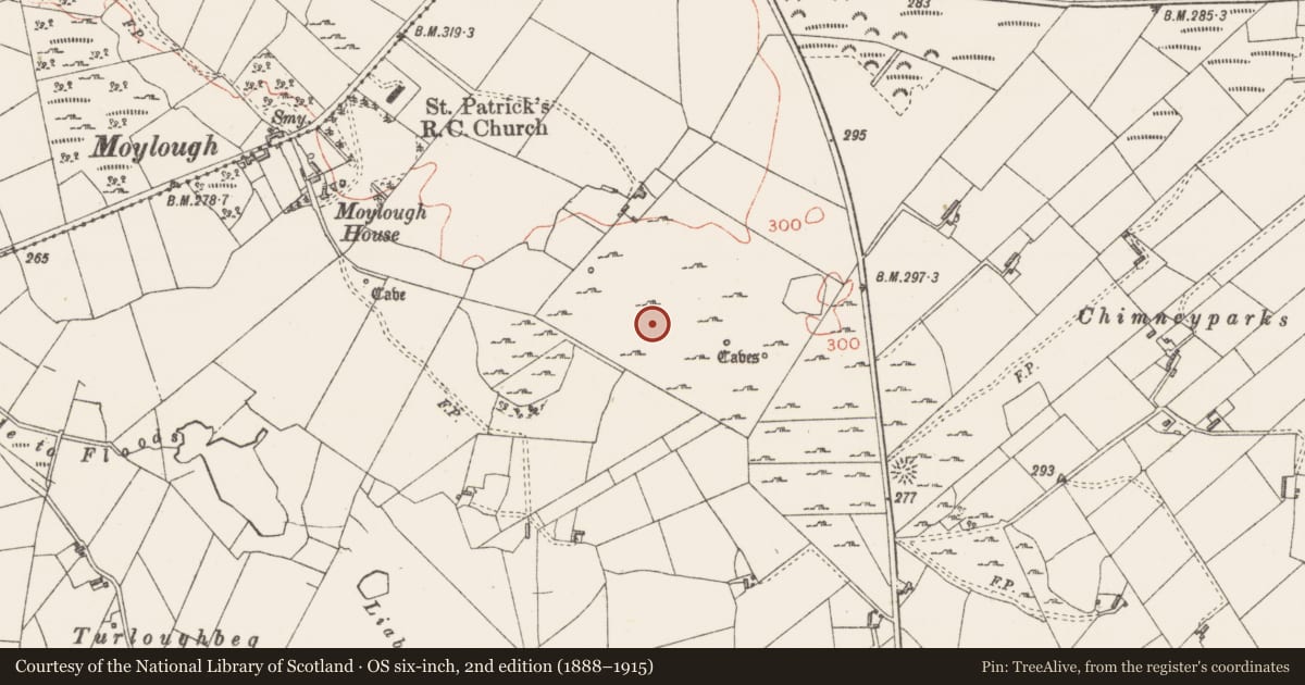 Ordnance Survey six-inch map, 2nd edition (1888–1915) covering the location of Platform - peatland, Moylough, County Sligo, with a pin at the register's coordinates