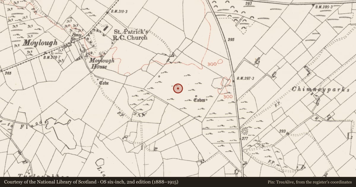 Ordnance Survey six-inch map, 2nd edition (1888–1915) covering the location of House - indeterminate date, Moylough, County Sligo, with a pin at the register's coordinates