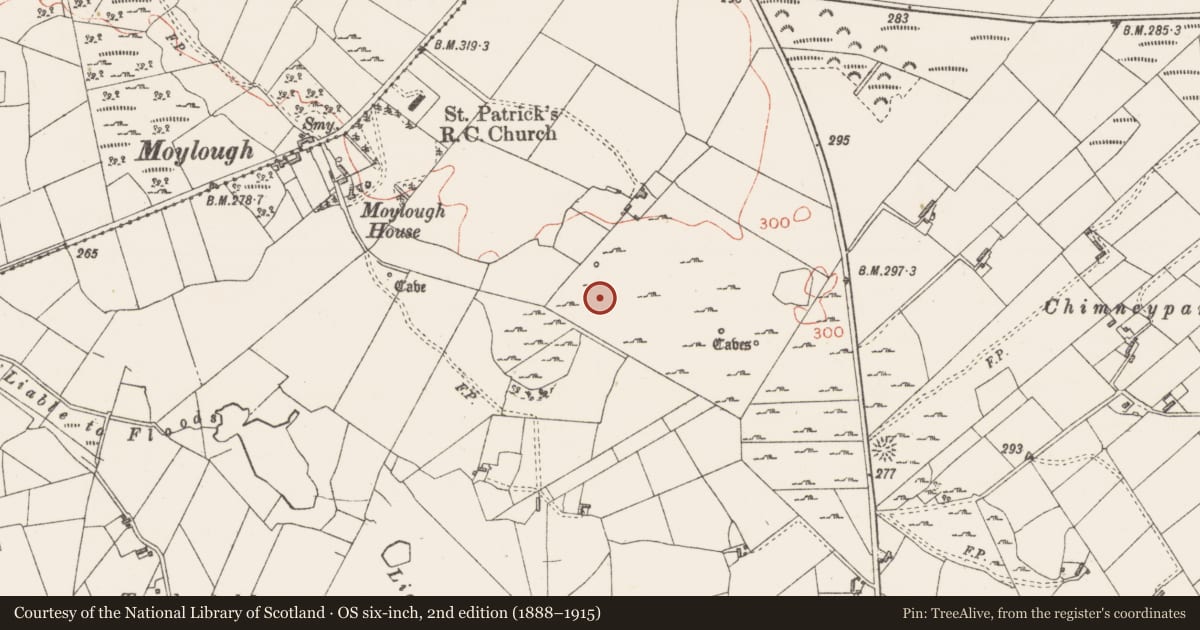 Ordnance Survey six-inch map, 2nd edition (1888–1915) covering the location of Enclosure, Moylough, County Sligo, with a pin at the register's coordinates