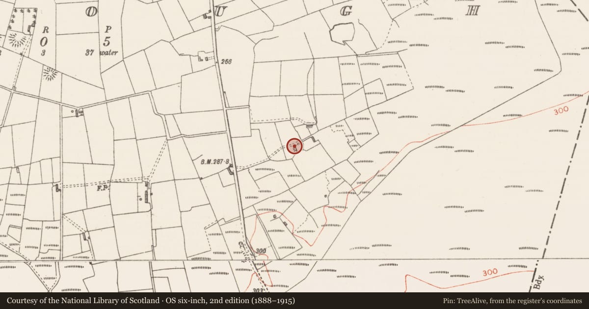 Ordnance Survey six-inch map, 2nd edition (1888–1915) covering the location of Ringfort - rath, Moylough, County Sligo, with a pin at the register's coordinates