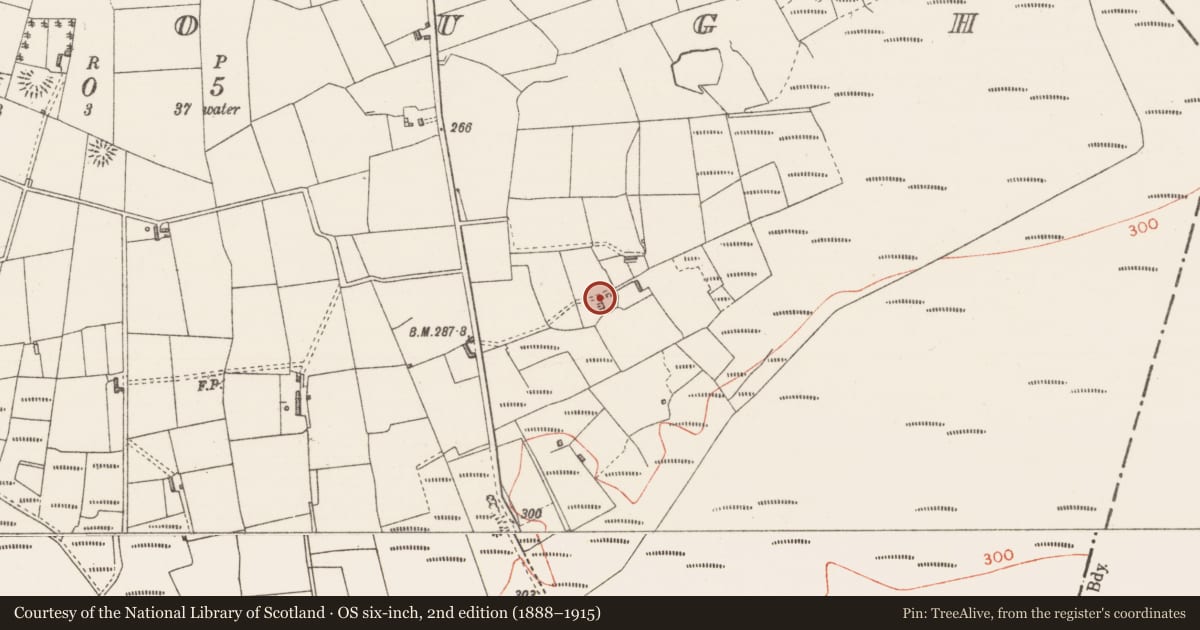 Ordnance Survey six-inch map, 2nd edition (1888–1915) covering the location of Souterrain, Moylough, County Sligo, with a pin at the register's coordinates