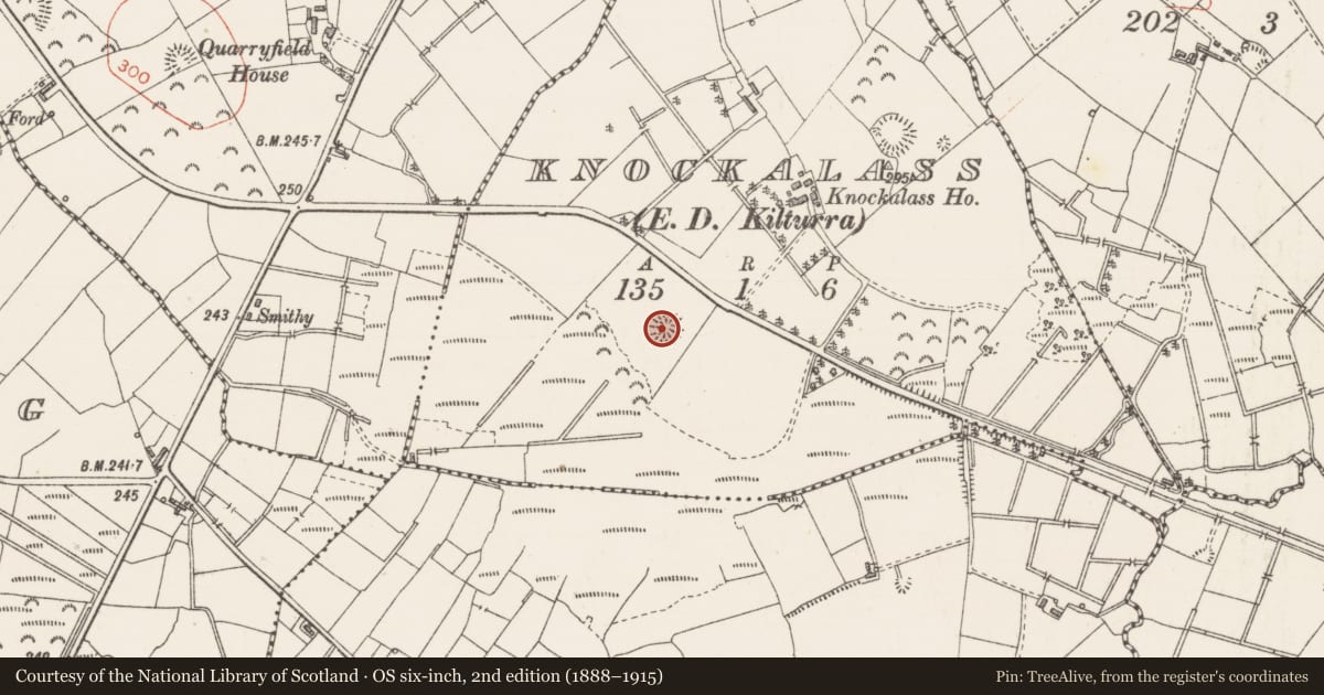 Ordnance Survey six-inch map, 2nd edition (1888–1915) covering the location of Ringfort - rath, Knockalass, County Sligo, with a pin at the register's coordinates