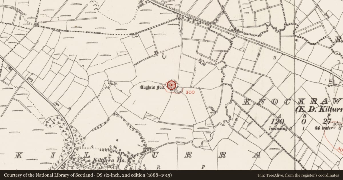 Ordnance Survey six-inch map, 2nd edition (1888–1915) covering the location of Ringfort - rath, Kilturra, County Sligo, with a pin at the register's coordinates